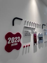 -索菲医疗整形美容