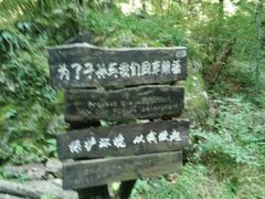 android_upload_pic-牛背梁国家森林公园