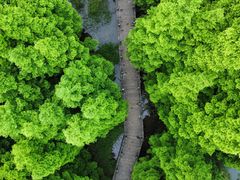 -桤木河湿地公园