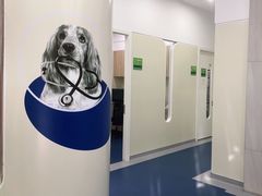 -佩兹宠物医院肿瘤专科·眼科·牙科(黄浦店)