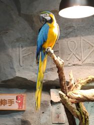 -Zoolung Zoolung动物主题公园(海信广场店)