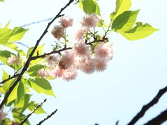 -柳侯公园