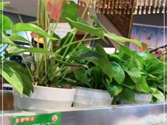 -刘胖子家常菜·蹄花焖藕(富安街店)
