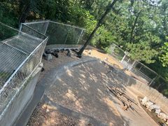 -西霞口神雕山野生动物世界