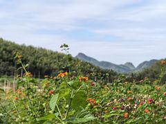 -仙霞关景区