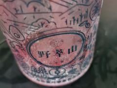 -野萃山·潮汕厚果汁(十亩地店)