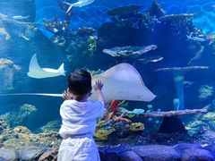 -华夏文旅海洋公园