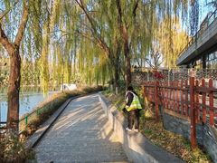 -西安汉城湖景区