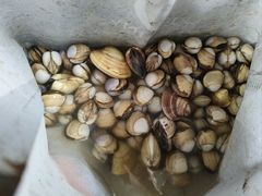 -启东黄金海滩景区