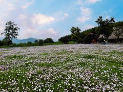 -良渚古城遗址公园