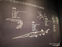 -中国湿地博物馆