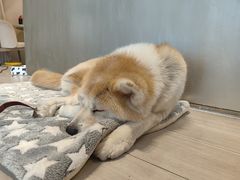 -YCHL Studios健身工作室(市二宫店)