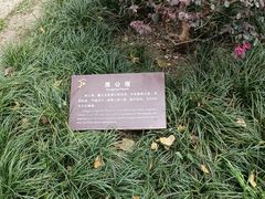 -房湖公园