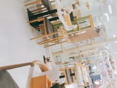 -喵园·猫主题咖啡厅·撸猫·猫咖(国贸店)