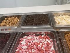 -Salud撒露欧洲冻酸奶(798艺术区店)