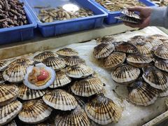 -三旗百汇商品城