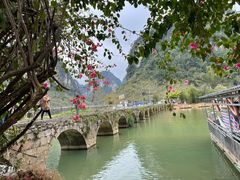 -靖西鹅泉风景区
