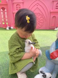 -萌宠亲子动物乐园(槐房万达店)