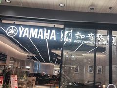 -知音艺术教育培训·钢琴培训·音乐培训(河西金鹰世界校区)