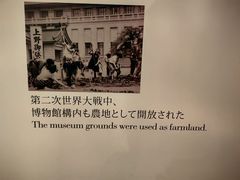 -东京国立博物馆
