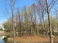 -上海长兴岛郊野公园