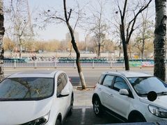 -八次方密云水库鱼粘卷子·熏鸽子·农家菜