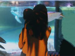 -暹罗海洋世界