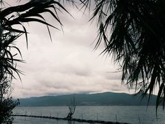-才村湿地公园