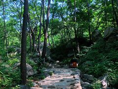 -大岭沟猕猴桃谷风景区
