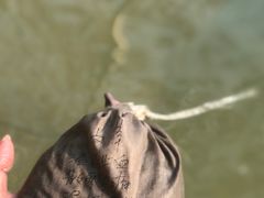 -三江森林温泉度假区