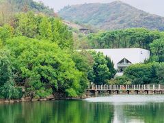 -白马涧龙池景区