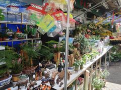 -曲阳花鸟市场(曲阳路店)