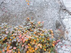 -北京凤凰岭