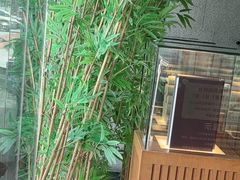-新紫霞养生·影院足道·SPA(金山区店)