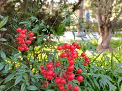 -合肥三国新城遗址公园