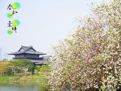 -海珠湖公园