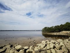 -宝安西湾红树林湿地公园