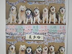 -星多哈·狗咖·拼豆·咖啡