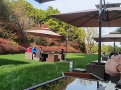 -常州环球恐龙城维景国际大酒店