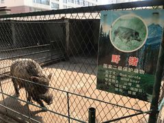 -莱西月湖公园