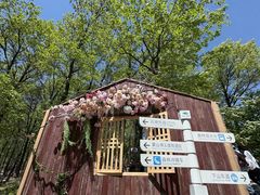 -沂蒙山旅游区云蒙景区(蒙山国家森林公园)
