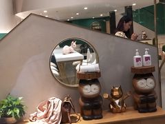 -飞行喵MR PILOT|猫舍·猫咖(静安大融城店)