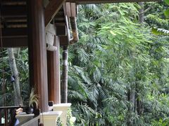 -四季酒店下午茶