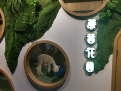 -藦茜花园宠物主题亲子互动体验馆(国顺东路店)