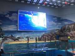 -福州罗源湾海洋世界旅游区