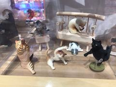 -zoonana室内动物园(东方福来德店)