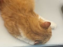 -昆山招商花园城