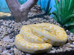 -石家庄市动物园