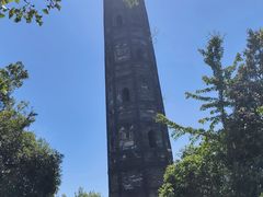 -上海佘山国家森林公园天马山园