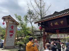 -青城甲(青城山店)